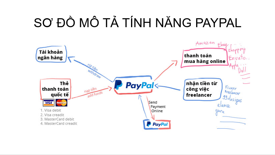 Hướng dẫn tạo tài khoản Paypal